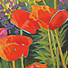 TEXT-FBR-orangepoppies