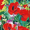 TEXT-FBR-poppies