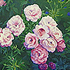 palepinkroses