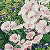 petunias