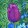 singletulip